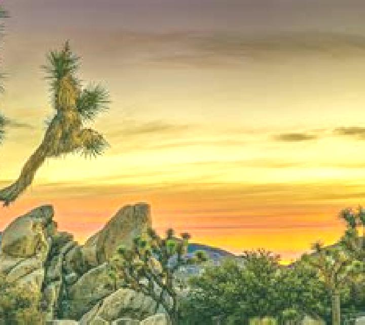 10 perfiles de escorts en Lang, China. Explora chicas, servicios, tarifas y reserva online. En domicilio y visita disponibles.