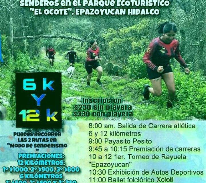 13 perfiles de escorts en Santa Brigida, España. Explora chicas, servicios, tarifas y reserva online. En domicilio y visita disponibles.