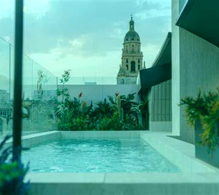 15 perfiles de escorts en Colonia Hidalgo, México. Explora chicas, servicios, tarifas y reserva online. En domicilio y visita disponibles.