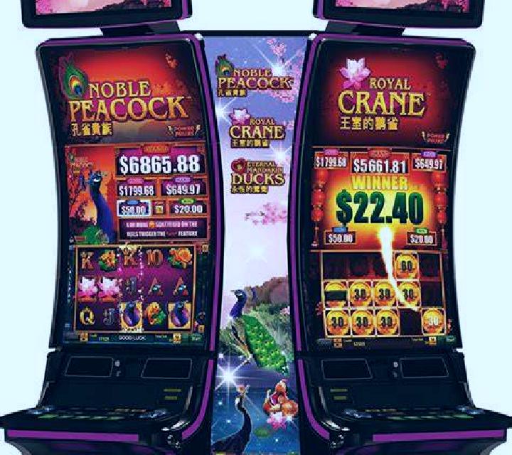 15 perfiles de escorts en Nyinqug, China. Explora chicas, servicios, tarifas y reserva online. En domicilio y visita disponibles.