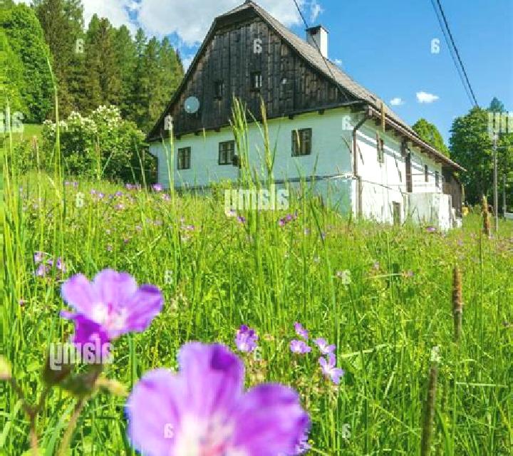 15 perfiles de escorts en Reguiny, Francia. Explora chicas, servicios, tarifas y reserva online. En domicilio y visita disponibles.