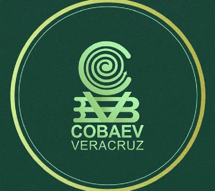 6 perfiles de escorts en Cottingham, Reino Unido. Explora chicas, servicios, tarifas y reserva online. En domicilio y visita disponibles.