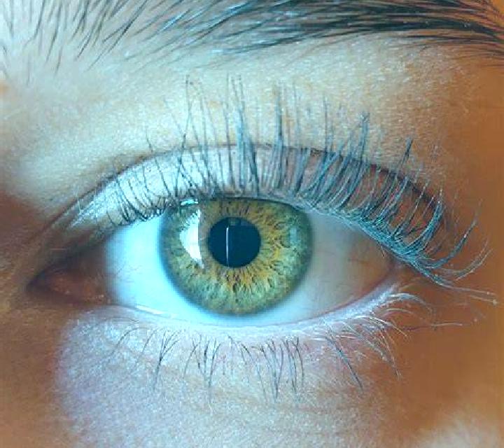 7 perfiles de escorts en Bicakci, Turquía. Explora chicas, servicios, tarifas y reserva online. En domicilio y visita disponibles.