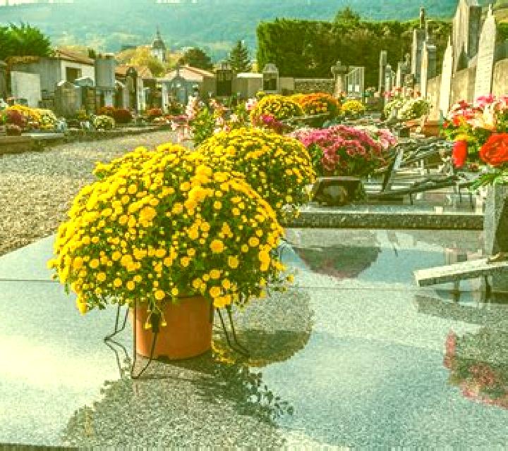 7 perfiles de escorts en Wallacetown, Nueva Zelanda. Explora chicas, servicios, tarifas y reserva online. En domicilio y visita disponibles.
