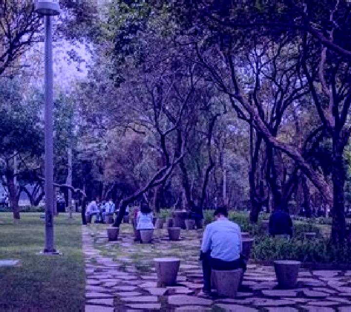 8 perfiles de escorts en Bacabachi, México. Explora chicas, servicios, tarifas y reserva online. En domicilio y visita disponibles.