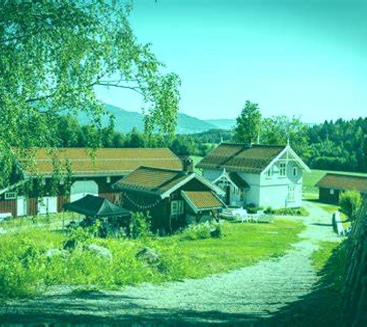 Aurora, 37, acompañante pelirroja de ojos azules y etnia caribeña basada en Ccolo. Ofrece 69, Griego (anal), Fetiche, Hasta el final (CIM), Masaje de próstat...