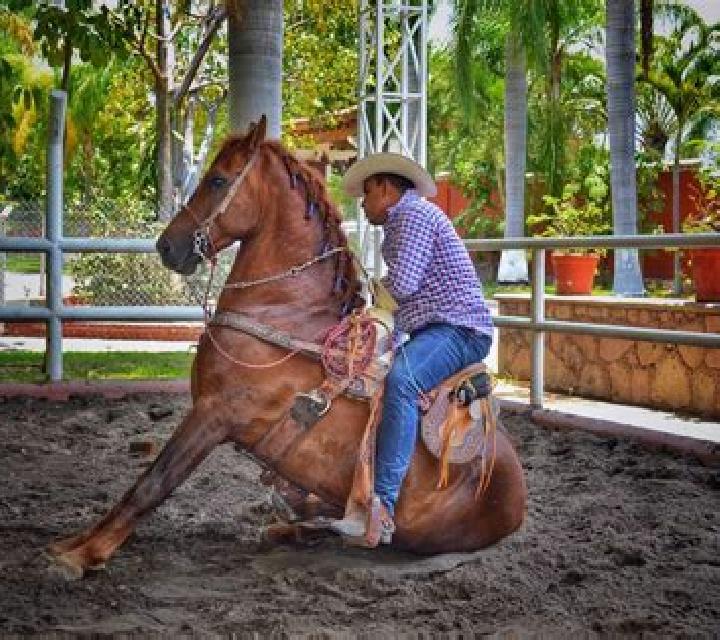 Beatriz, 22, acompañante rubia platino de ojos ámbar y etnia oriente medio basada en Chavan. Ofrece Chica de fiesta, Griego (anal), Masaje erótico. Disponibl...
