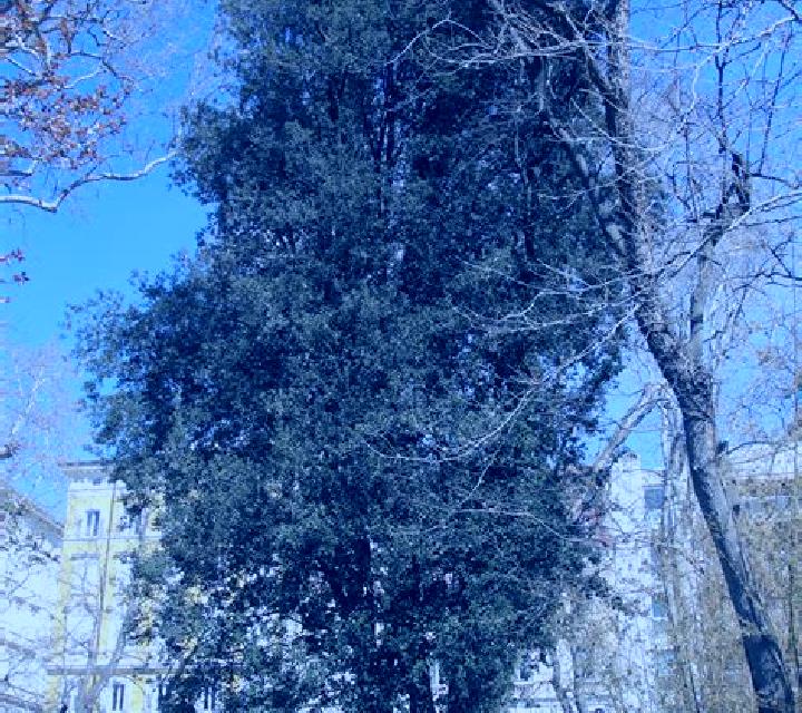 Bianca, 21, acompañante rubia de ojos marrones y etnia mediterránea basada en Selfoss. Ofrece Tantra, Hasta el final (CIM), Griego (anal). Disponible en domi...