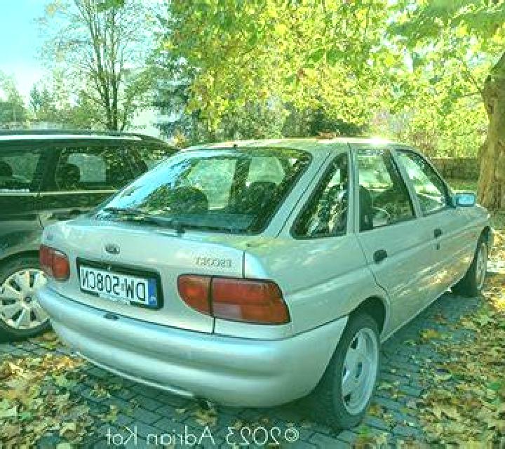escort Alldays