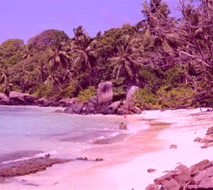 escort Anse aux Pins