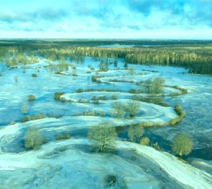escort Antunez