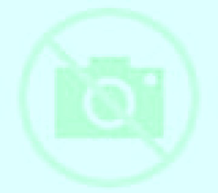 escort Aracas
