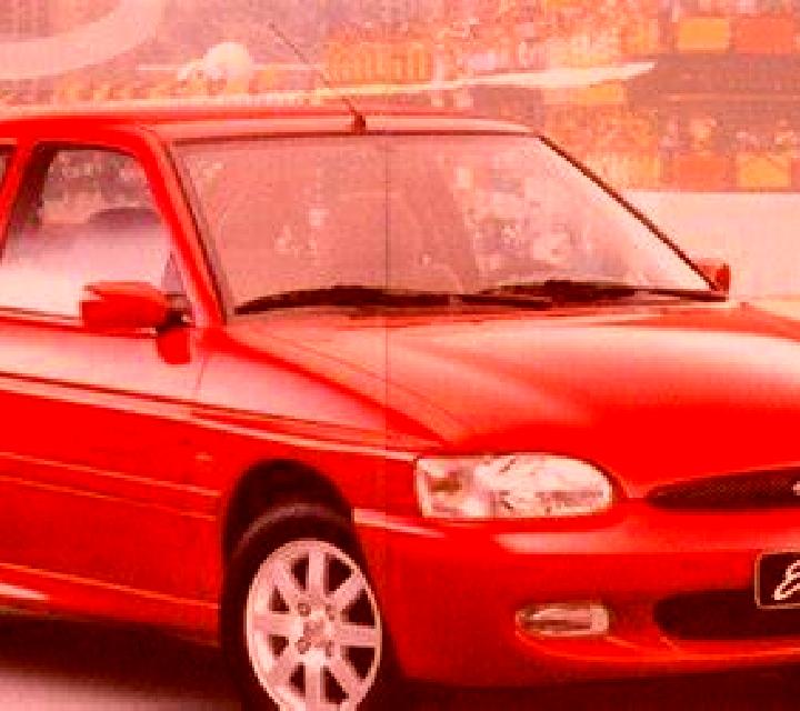 escort Bad Ditzenbach