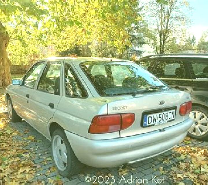 escort Bargauani