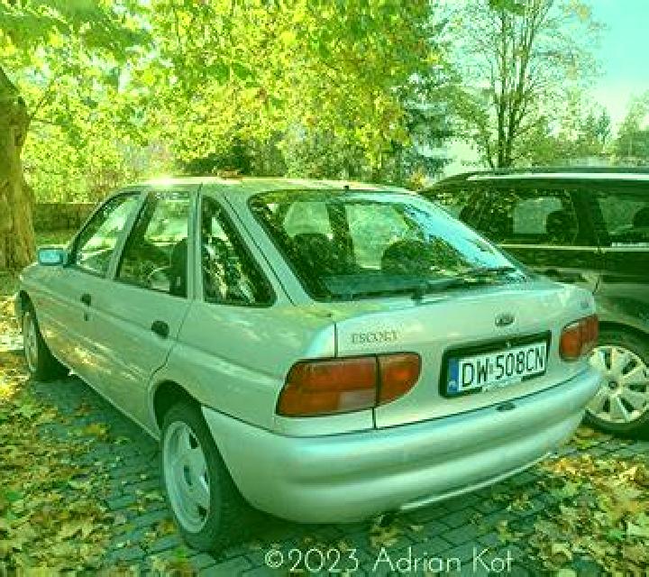 escort Basciftlik