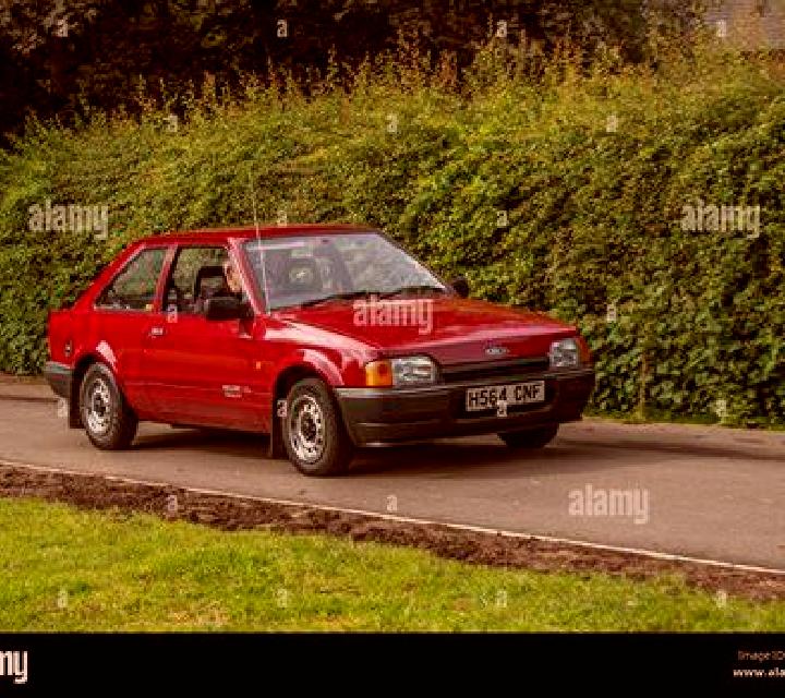 escort Bayana