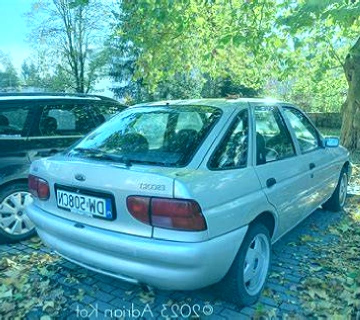 escort Bayat