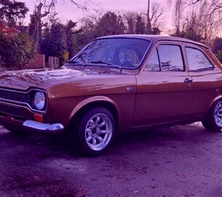 escort Belleview