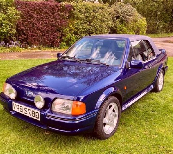 escort Bempflingen