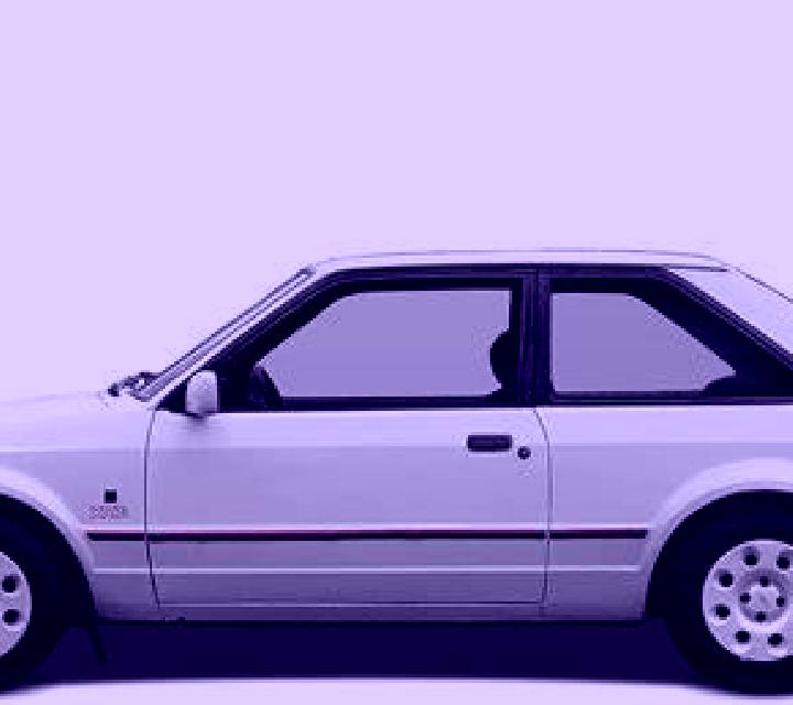 escort Bobr
