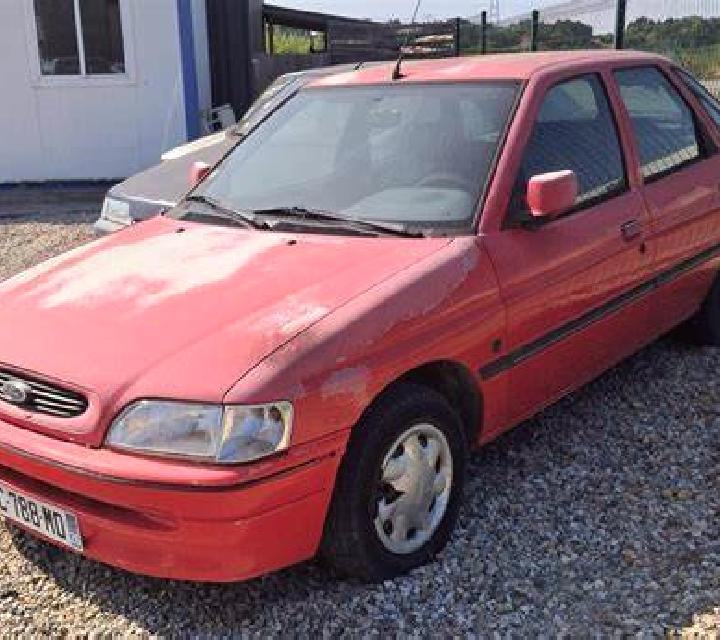 escort Bodenfelde