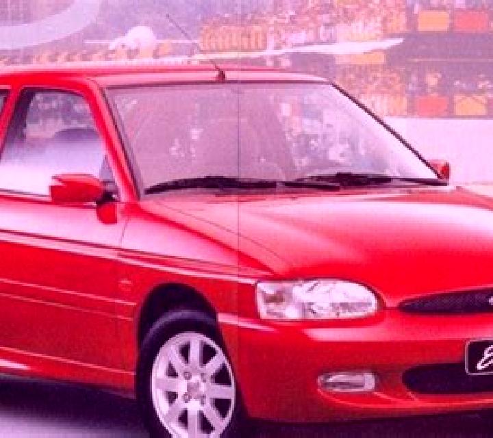 escort Bumba