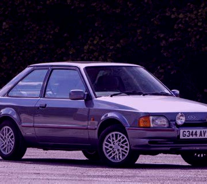 escort Bungoma