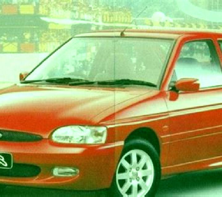 escort Buray