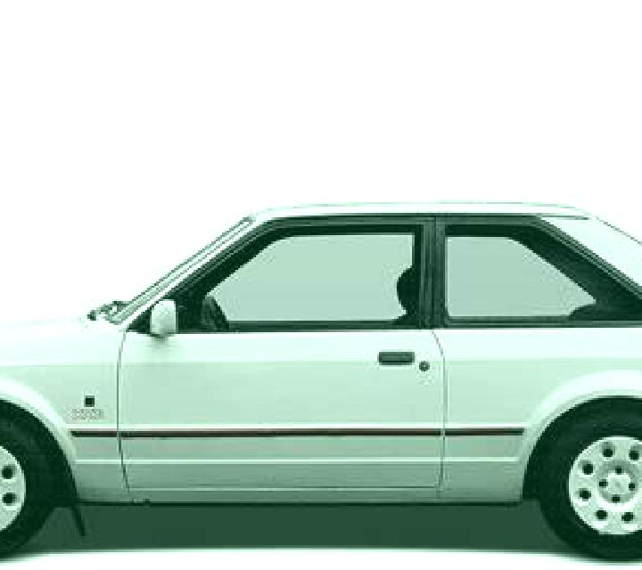 escort Calcinaia
