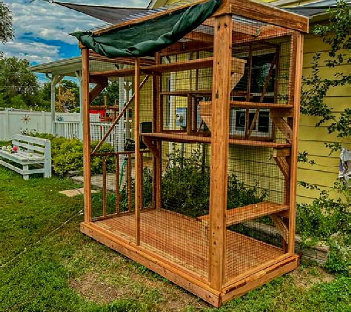 escort Catio