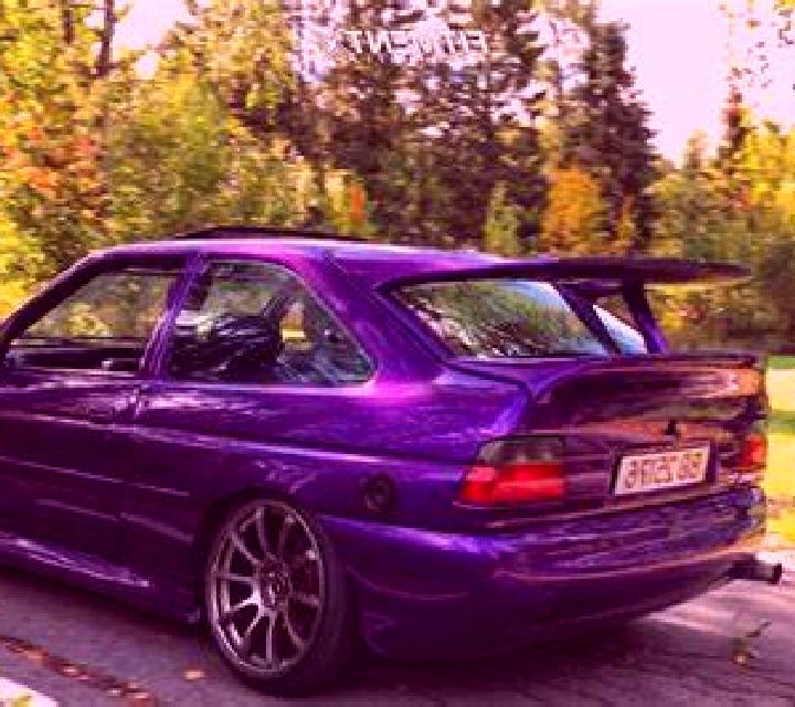 escort Cestica
