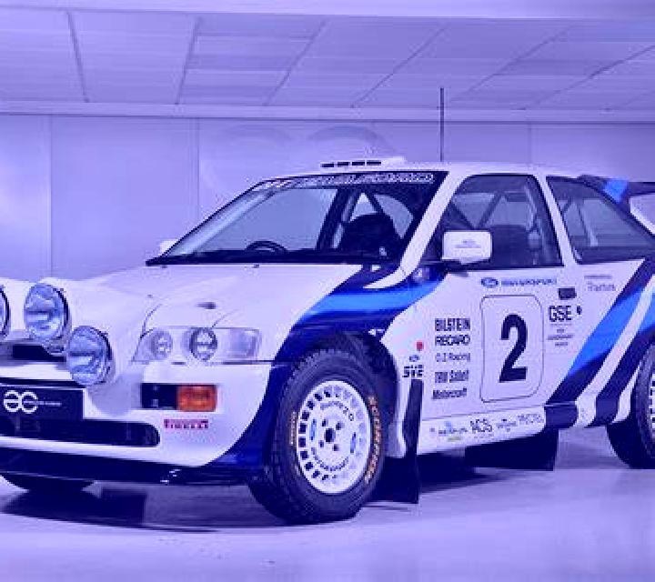 escort Cotlu