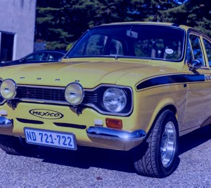 escort Dargan