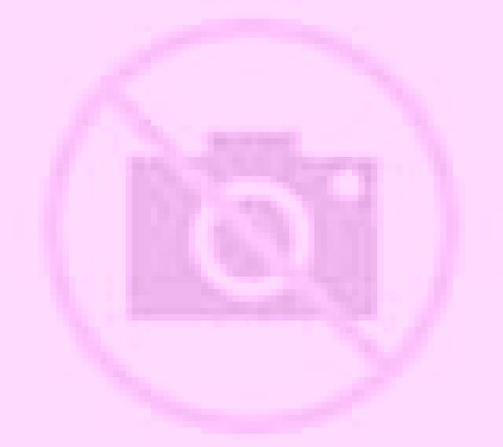 escort Decimoputzu