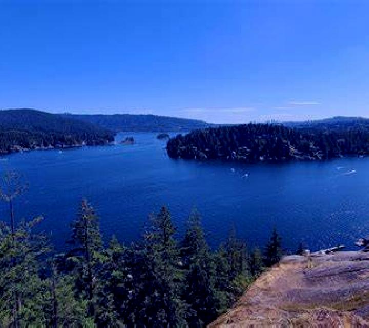 escort Deep Cove