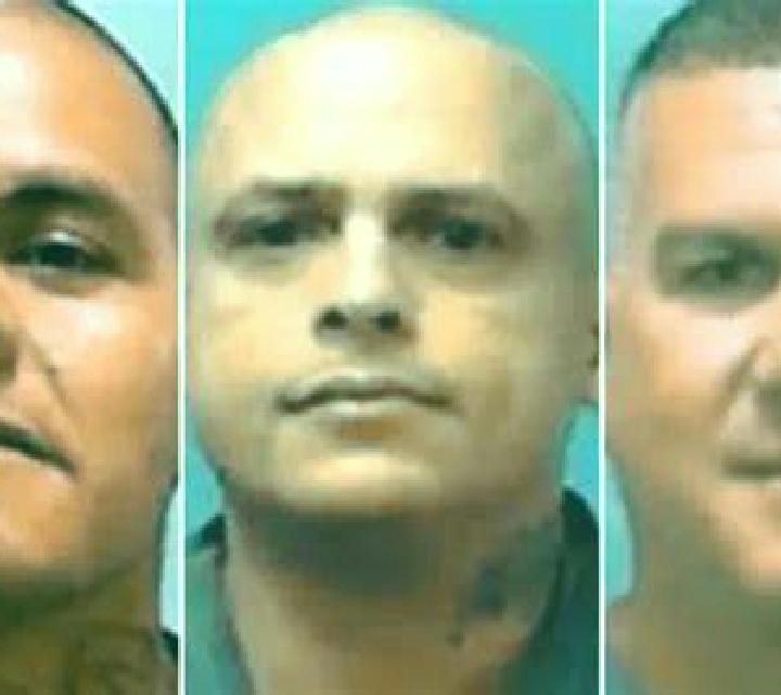 escort Drajna de Jos