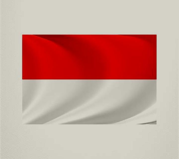 escort Drochia