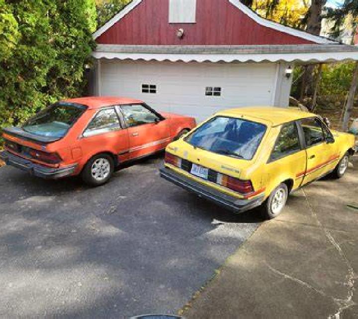 escort Dronten