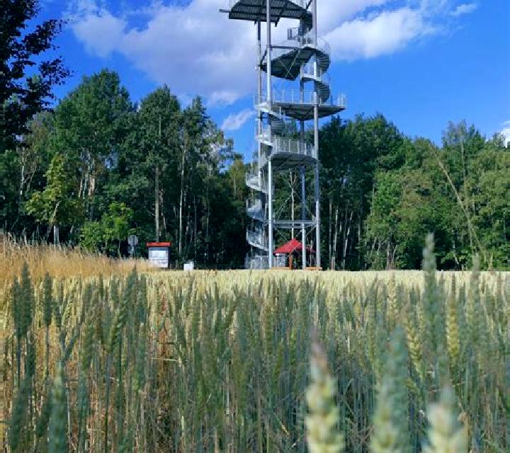 escort Ducey