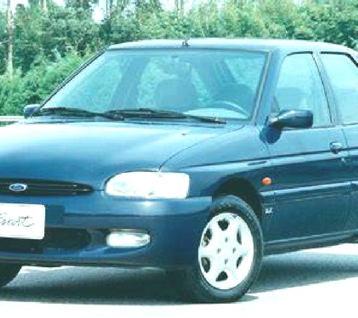 escort Fines
