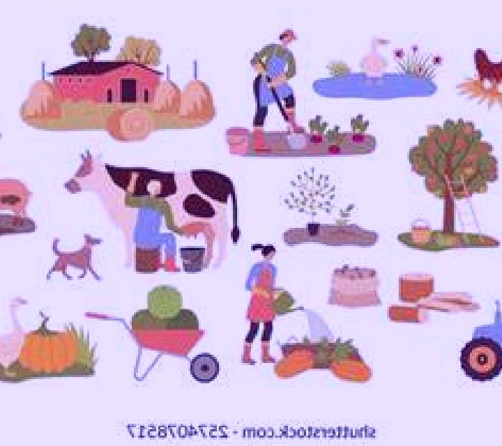 escort Forchheim