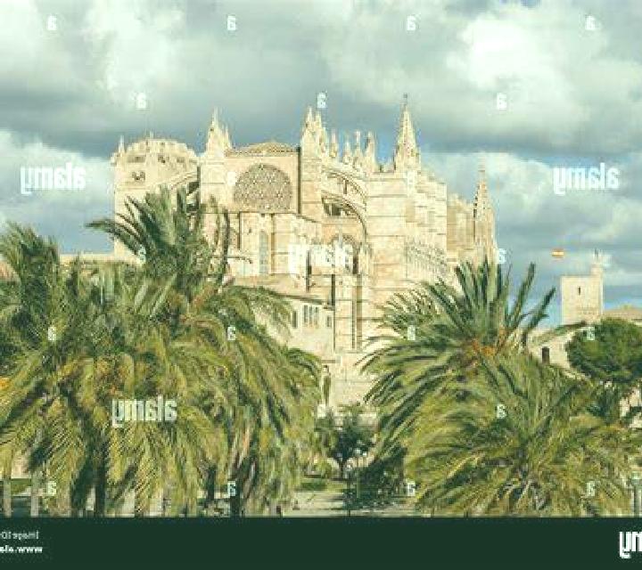 escort Fort Saskatchewan