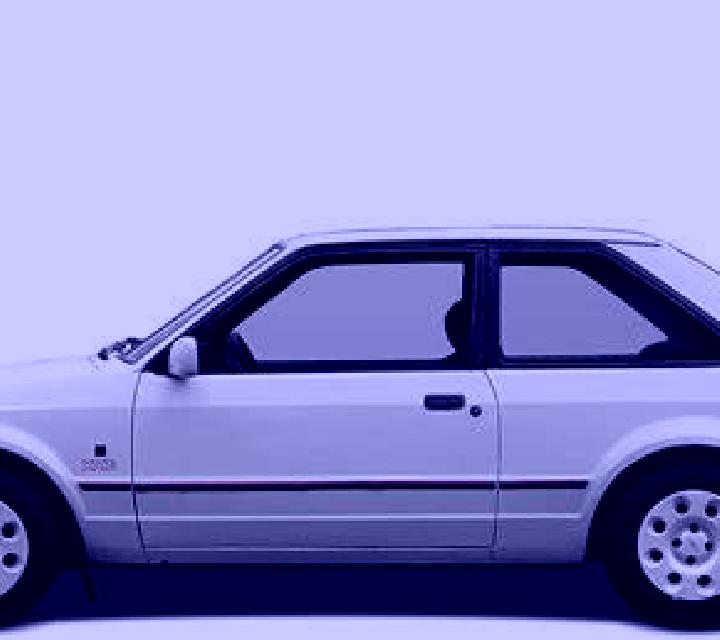 escort Fratta Polesine