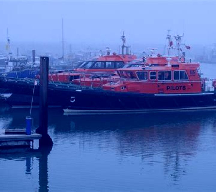 escort Gergei