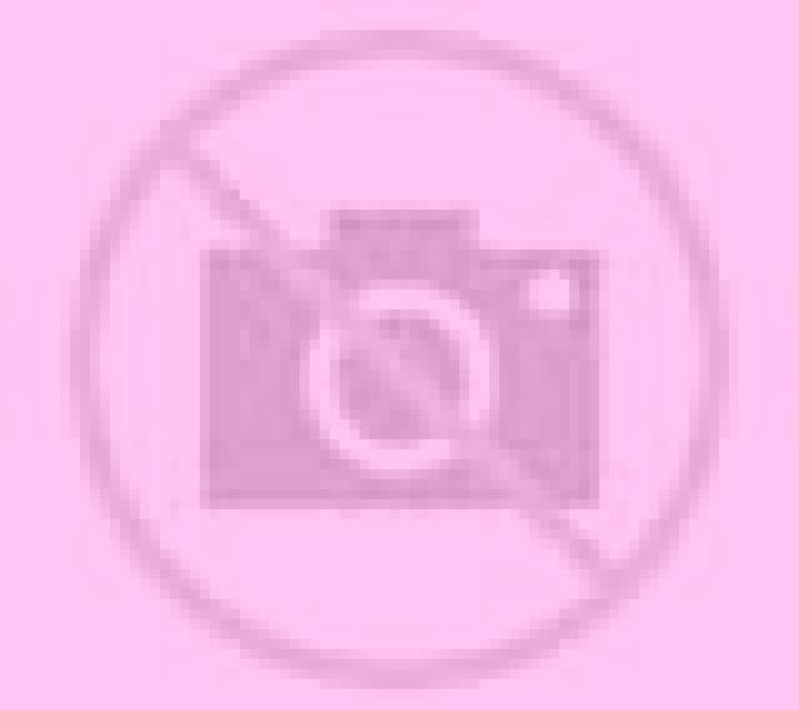 escort Guhan