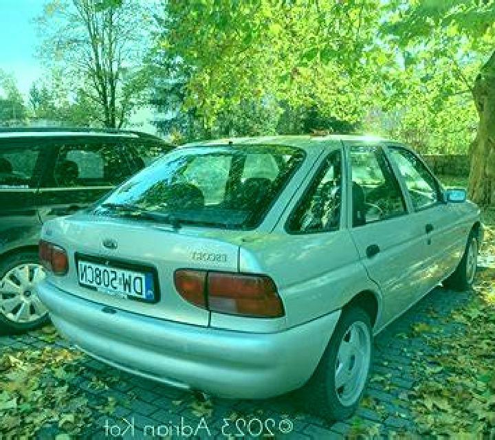 escort Hackleburg
