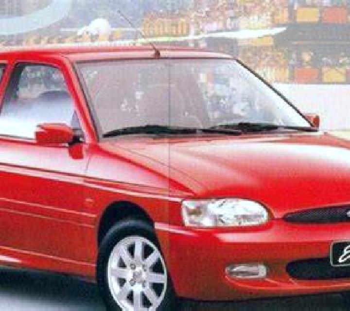 escort Haynes