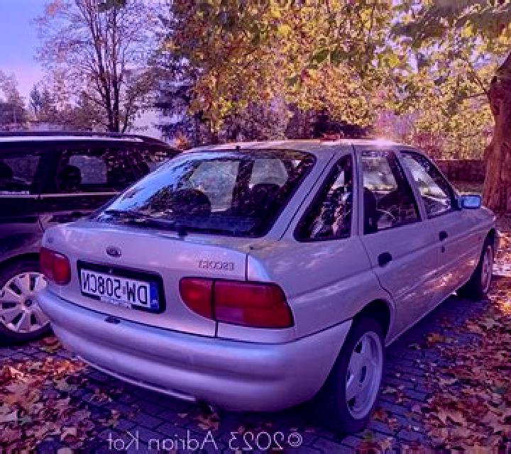 escort Horny Lieskov