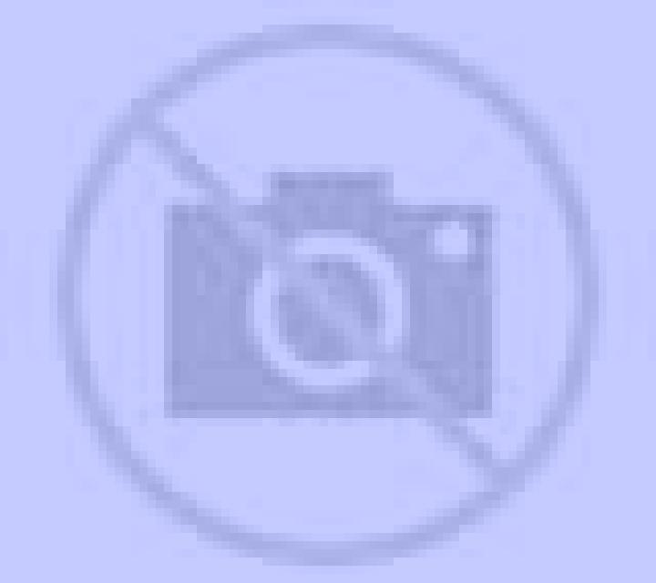 escort Illschwang