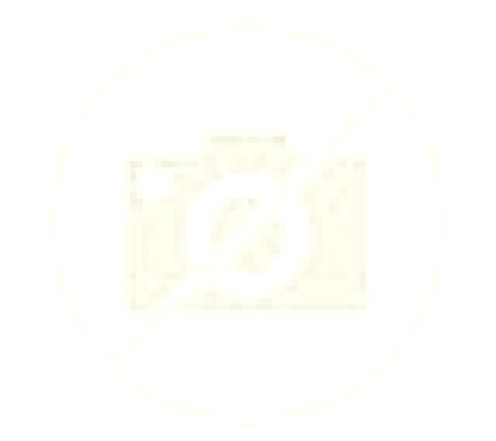 escort Jiangkou
